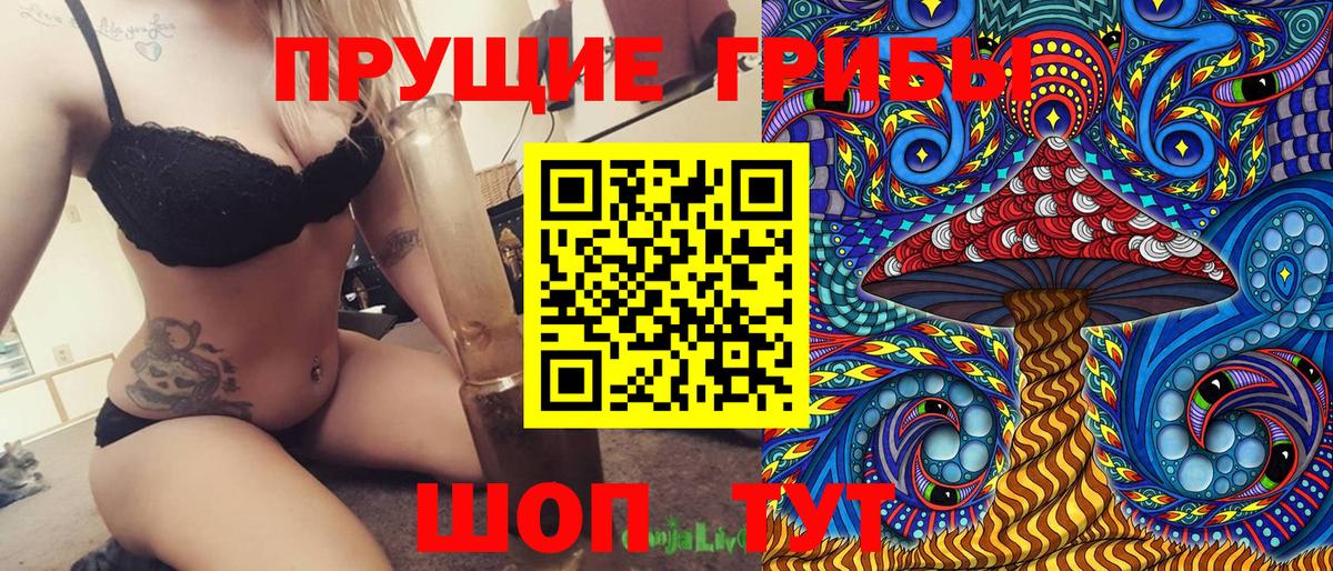 Галлюциногенные грибы Psilocybine cubensis Георгиевск